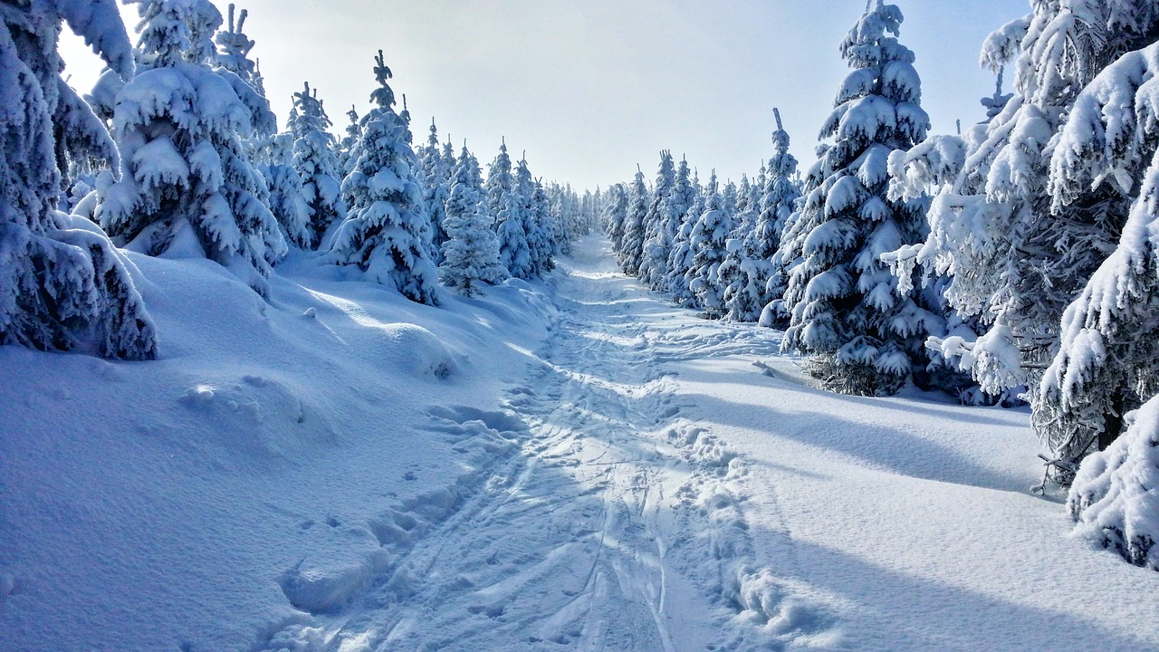 Červenohorské sedlo